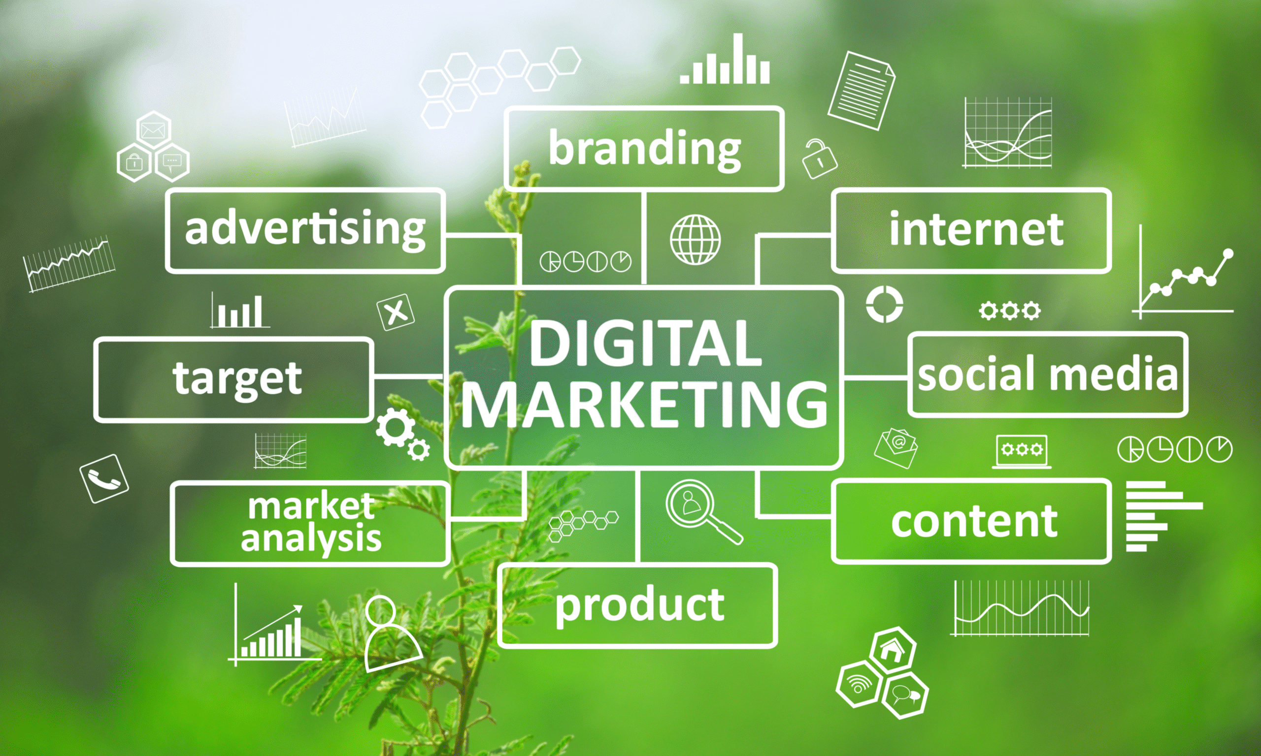 Grow Your Business with These Essential Digital Marketing Services